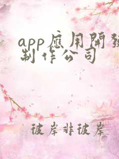 app应用开发制作公司