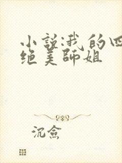 小说:我的四位绝美师姐
