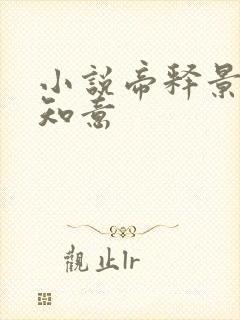 小说帝释景,南知意