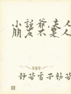 小说爷,夫人的朋友不是人