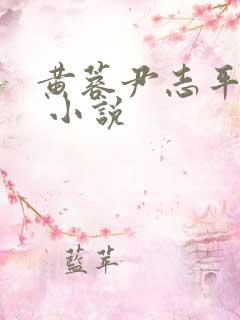 黄蓉尹志平小武 小说