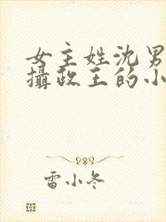 女主姓沈男主是摄政王的小说