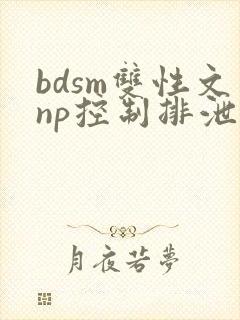 bdsm双性文np控制排泄调教