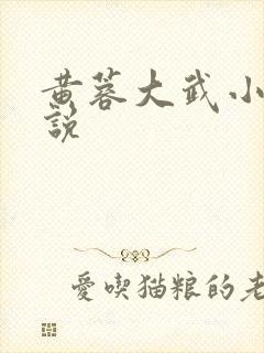 黄蓉大武小武小说