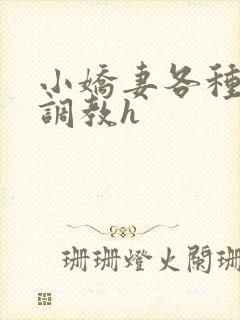 小娇妻各种姿势调教h