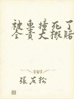 被车撞死了对方全责大概赔偿多少