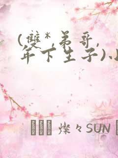 (双*,弟哥,年下生子)小说双胞胎