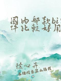 国内哪款bi软件比较好用
