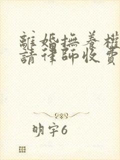 离婚抚养权官司请律师收费