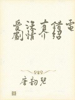 爱没有错电视剧剧情介绍