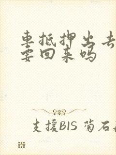 车抵押出去了能要回来吗