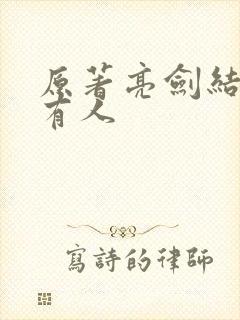 原著亮剑结局所有人
