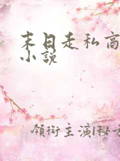 末日走私商在线小说
