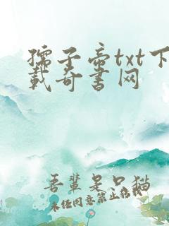 孺子帝txt下载奇书网