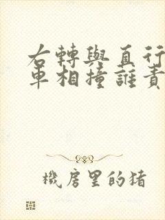 右转与直行电动车相撞谁责任