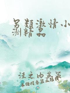 另类激情小说亚洲精品