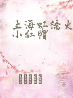 上海虹桥火车站小红帽