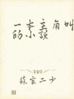 一本主角叫林凡的小说