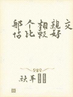 那个相亲交友网站比较好