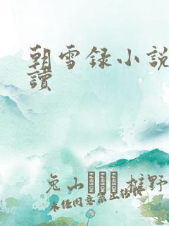 朝雪录小说免费读