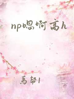 np嗯啊高h