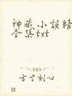 神藏小说精校版全集txt
