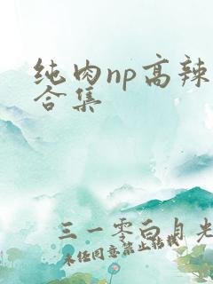 纯肉np高辣文合集