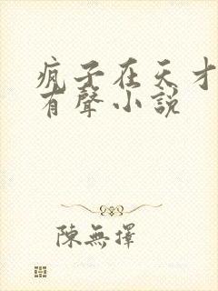 疯子在天才左右有声小说