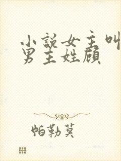 小说女主叫晚晚男主姓顾