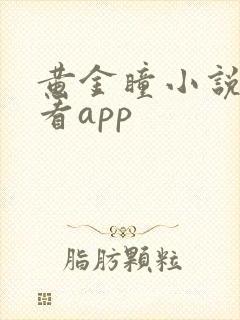 黄金瞳小说免费看app