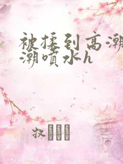 被揉到高潮失禁潮喷水h