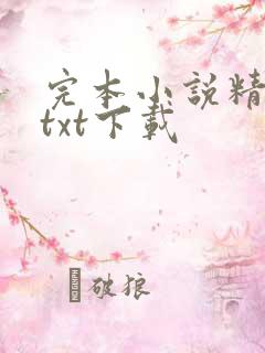 完本小说精校版txt下载