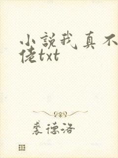 小说我真不是大佬txt