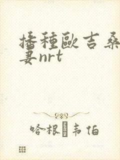 播种欧吉桑与人妻nrt