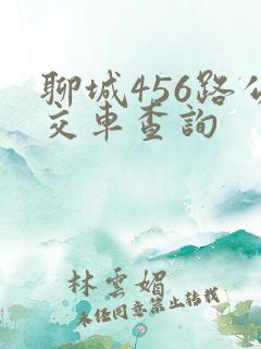 聊城456路公交车查询