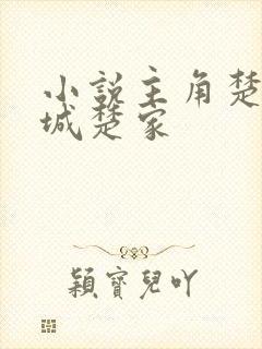 小说主角楚风京城楚家