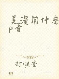 美漫用什么app看