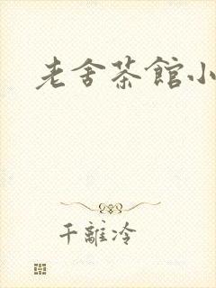 老舍茶馆小说