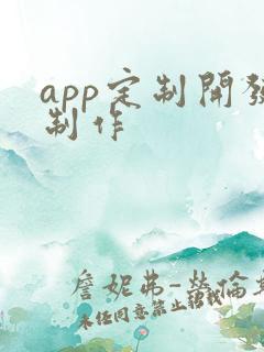 app定制开发制作