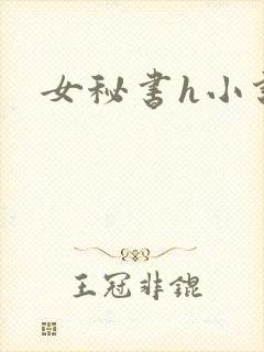 女秘书h小说