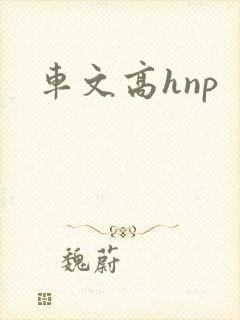 车文高hnp 车文高hnp