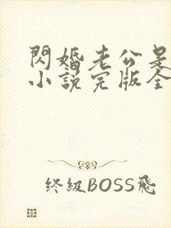 闪婚老公是豪门小说完版全章