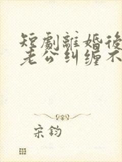 短剧离婚后前夫老公纠缠不休