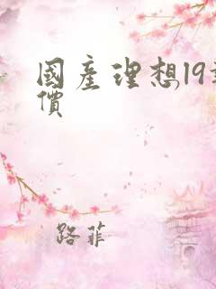 国产理想l9报价