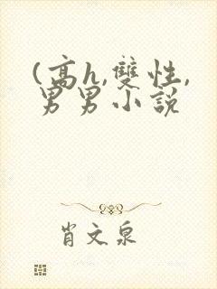 (高h,双性,男男小说