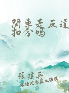 开车走反道了会扣分吗 开车走反道了会扣分吗