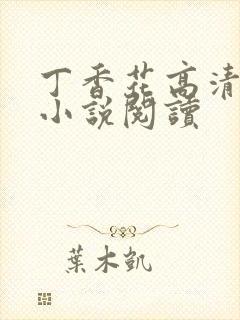 丁香花高清在线小说阅读
