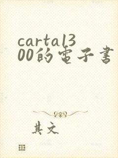 carta1300的电子书阅读器