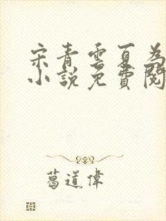 宋青云夏为安的小说免费阅读
