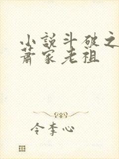 小说斗破之我乃萧家老祖